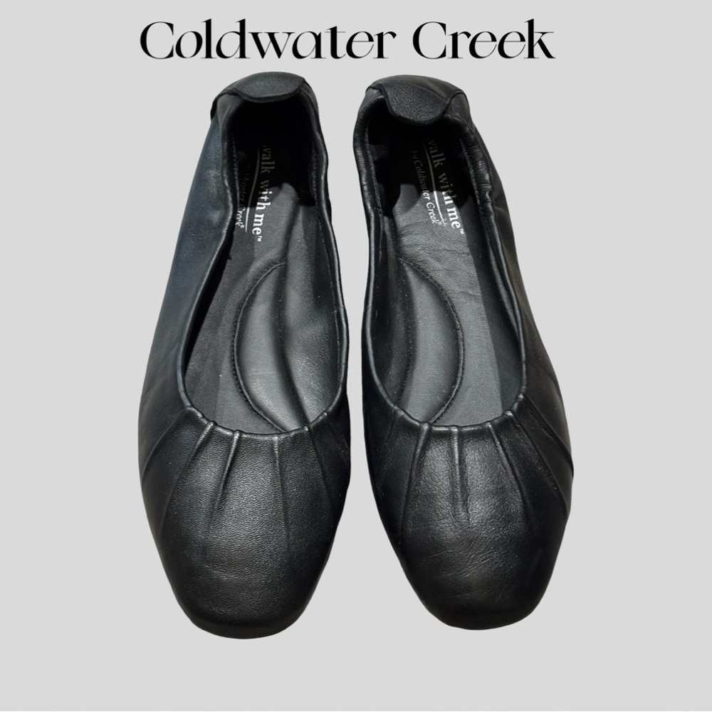 NWOT- Adorable Ballet Flats from Coldwater Creek - Size 8